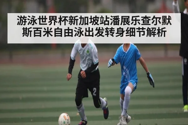 游泳世界杯新加坡站潘展乐查尔默斯百米自由泳出发转身细节解析